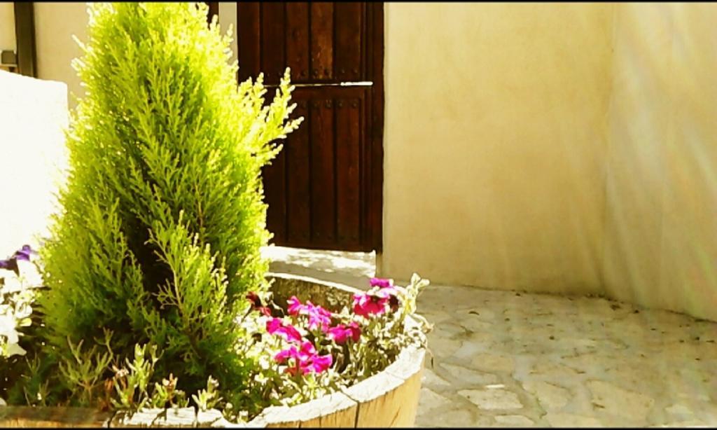 El Jardincillo Vendégház Robledo de Chavela Kültér fotó